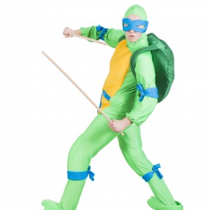 Turtle Leonardo