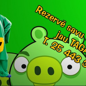 Paraugs5