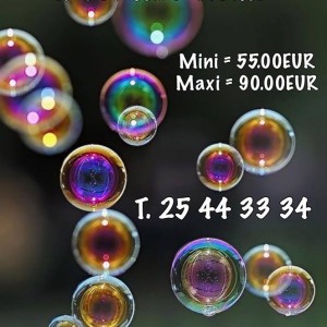 19598636_1768707549811431_6288531626359017760_n